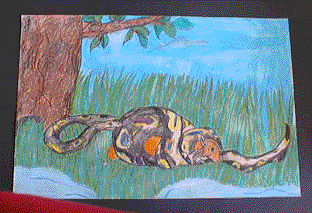 !slangmf.gif (33439 bytes)