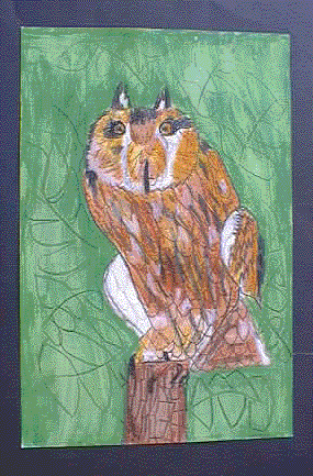 ugla.gif (60062 bytes)